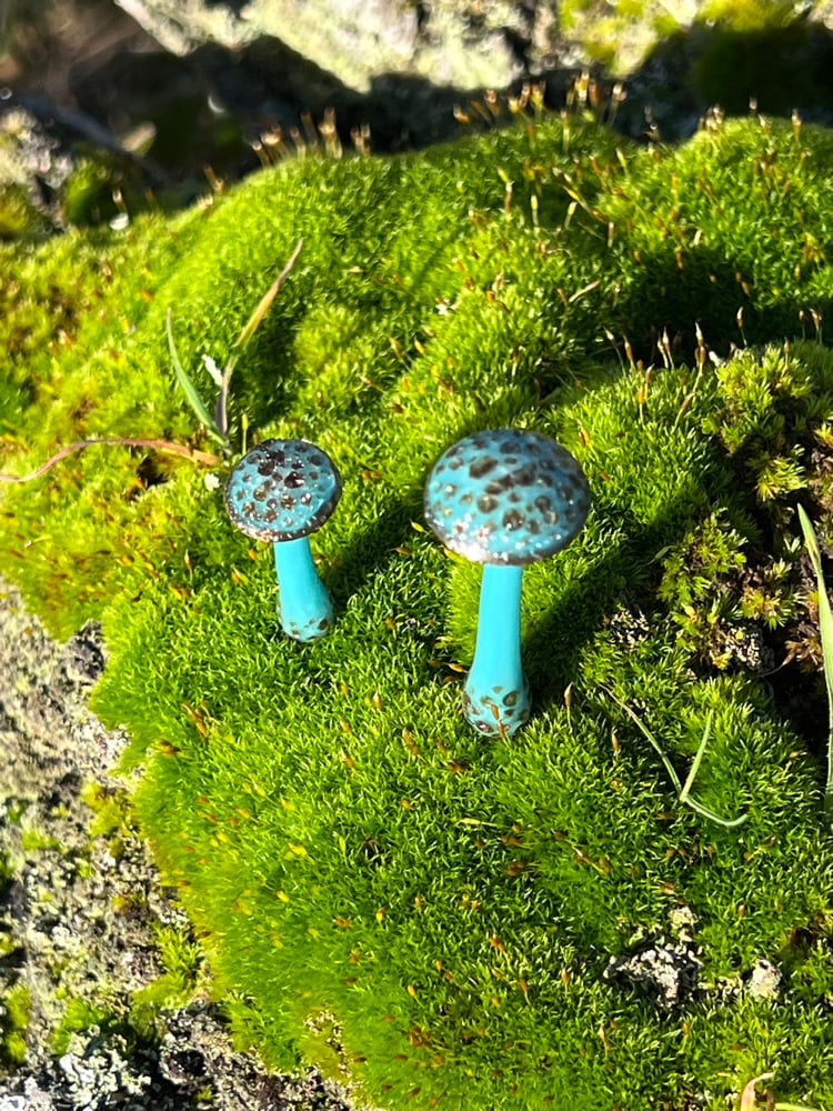 Image of 2 Brown Spotted Blue Mushroom Plant Spikes