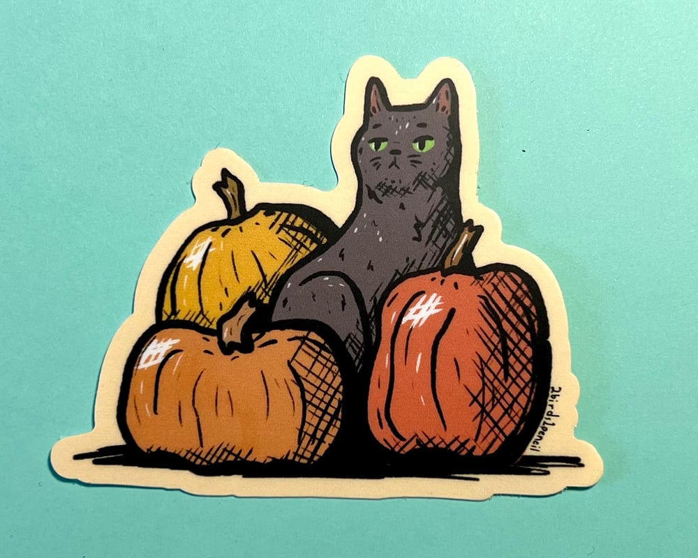Image of Black cat in a pumpkin patch vinyl sticker