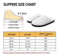 Image 4 of Slippers 