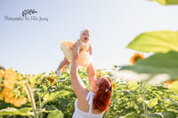 Image 3 of SUN 16th AUGUST -Sunflower mini session
