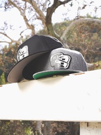 Image 2 of GREY FOG 2026