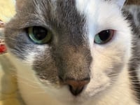 Custom Keychain Listing