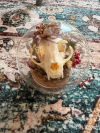 Image 10 of Rose Quartz Kitty