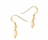 14k Gold Filled Pearl Drop Earrings