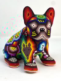 Image 1 of French Bulldog Puppy Vol 3 007