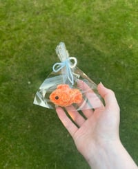 Image 4 of Goldfish in a Bag