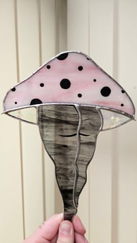 Image 2 of Mushroom bum 8