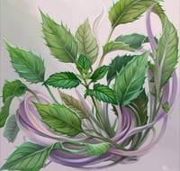 Image 1 of WILD Remedies Series  -  MARCH 29th - Spring Tonics 