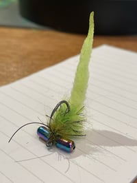 Image 4 of Wide Eyed Pollywog 