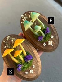 Image 2 of Mushroom wooden frame LED
