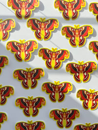 Image 2 of Atlas Moth Sticker