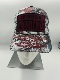 Image 3 of MOTHMAN CAMO HAT (RESTOCK)