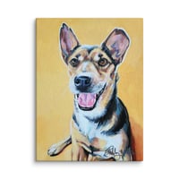 Image 1 of Yellow Jack Russel