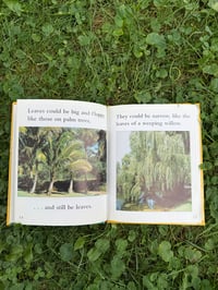 Image 4 of Back to school book bundle 