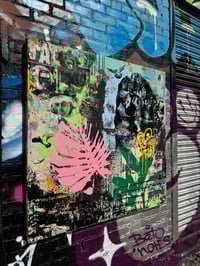 Image 3 of Live girls 