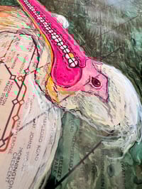 Image 2 of Pelican Perch