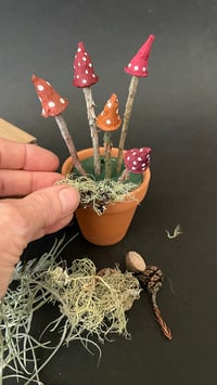 Image 2 of Mushroom Gardens 