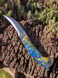 Image 2 of RIBSPLITTER #1