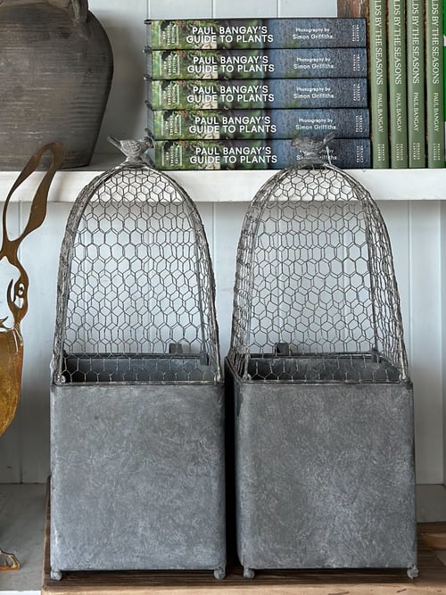 Image of Cloche with Pot