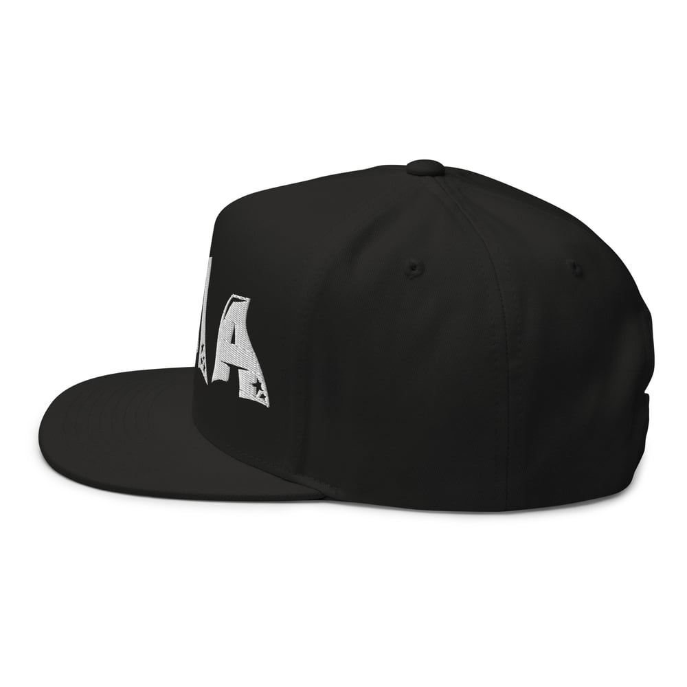 DTMA SNAPBACK