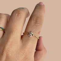 Reserved for Cleivys