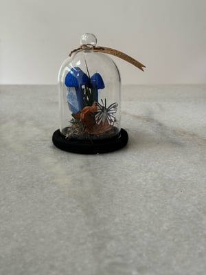 Image of EntolomaVirescens paper mushroom