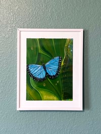 Image 2 of “Blue Morpho”