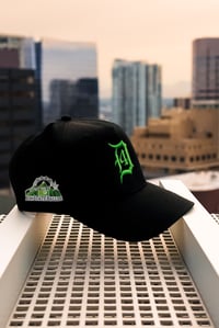 Image 1 of Box State Baller D4 SnapBack Green