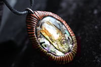 Image 1 of dead good fish head and paua shell necklace