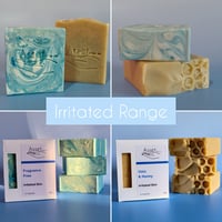 Image 1 of Range Bundles