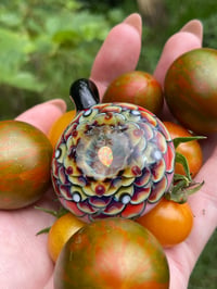 Image 7 of Sweet Sungold