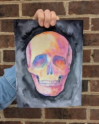 Image 1 of Skull Study in Watercolor, Archival Print
