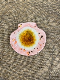 Image 2 of Clam Shell