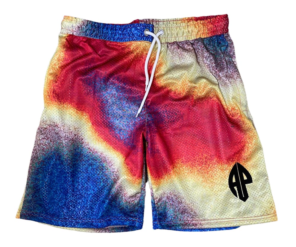 Image of Heatmap Mesh Shorts