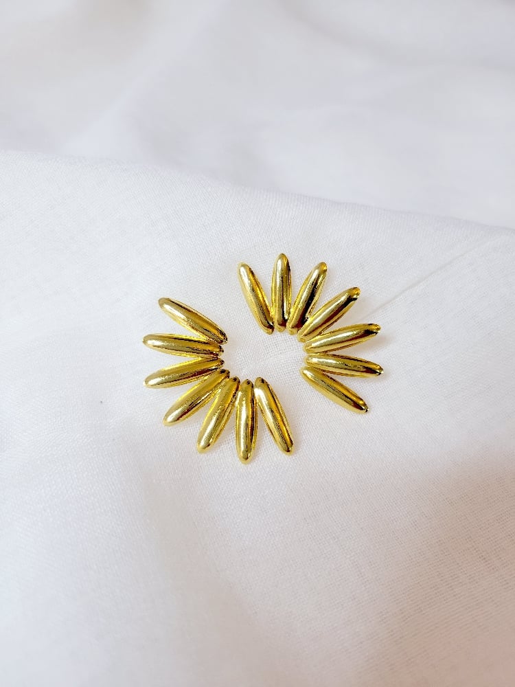 Image of Dorados earrings 
