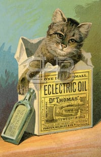 Dr. Thomas' Eclectric Oil - Cat in Bag