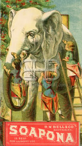 Image of Soapona - Elephant Wash