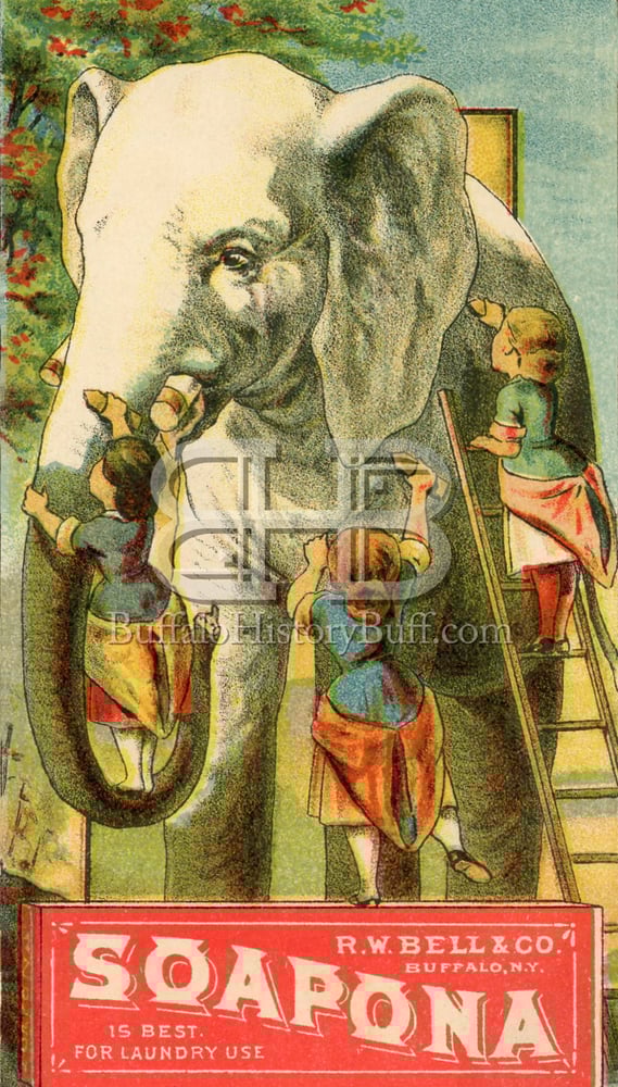 Buffalo History Buff — Soapona Elephant Wash