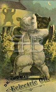 Image of Dr. Thomas' Eclectric Oil - Dancing Bears
