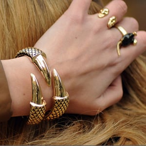 Image of Claw Bracelet