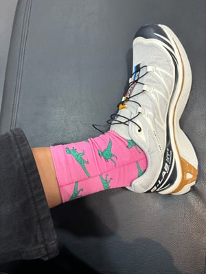 T- rex socks