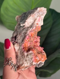 Image 5 of PINK CALCITE -MOROCCO- A