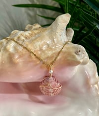 Image 1 of Scallop Shell Necklace N206