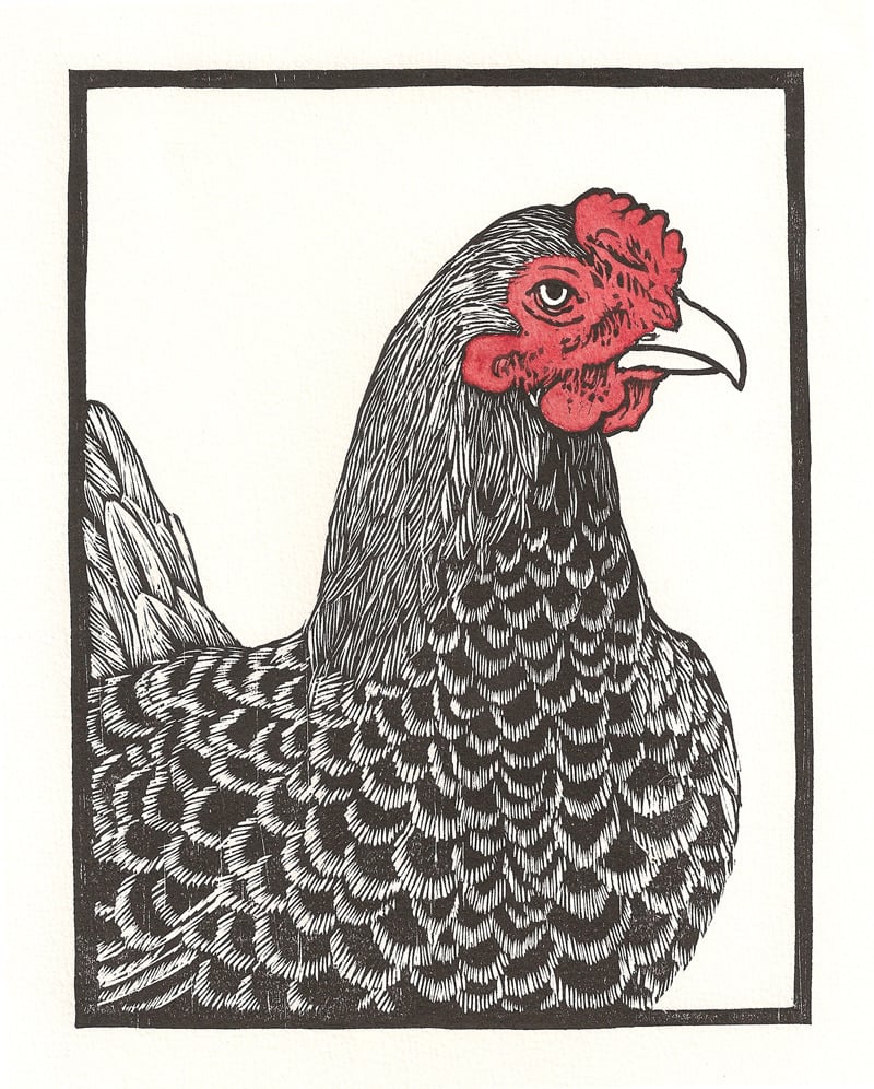 Image of Cornish Chicken Woodcut