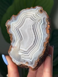 Image 2 of MILKY MOROCCAN AGATE WITH PARALAX 
