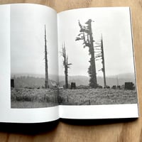 Image 7 of Dorothea Lange / Sam Contis - Day Sleeper 