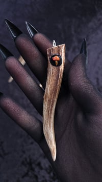 Image 4 of Antler and mushroom pendant