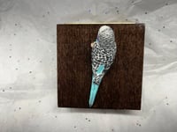 Image 18 of Custom Engraved Budgie Parakeet Handpainted To Your Photos Bird Mini Keepsake Urn Pet Portrait
