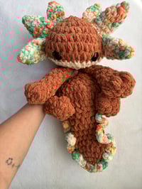 Image 1 of nixie the axolotl
