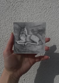 Image 2 of tinyhorse - original